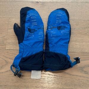 The North Face Blue and Black Mittens